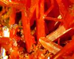 Crocoite Mineral